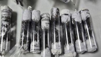 El tráfico de animales aumenta