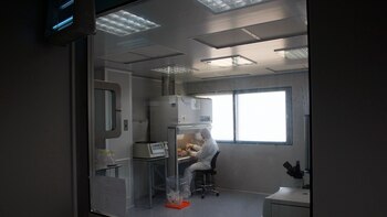 Los casos de cáncer de