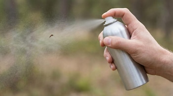 Primer plano de una mano sosteniendo un bote de aerosol plateado sin etiquetas, liberando una nube de insecticida hacia un mosquito en el aire.