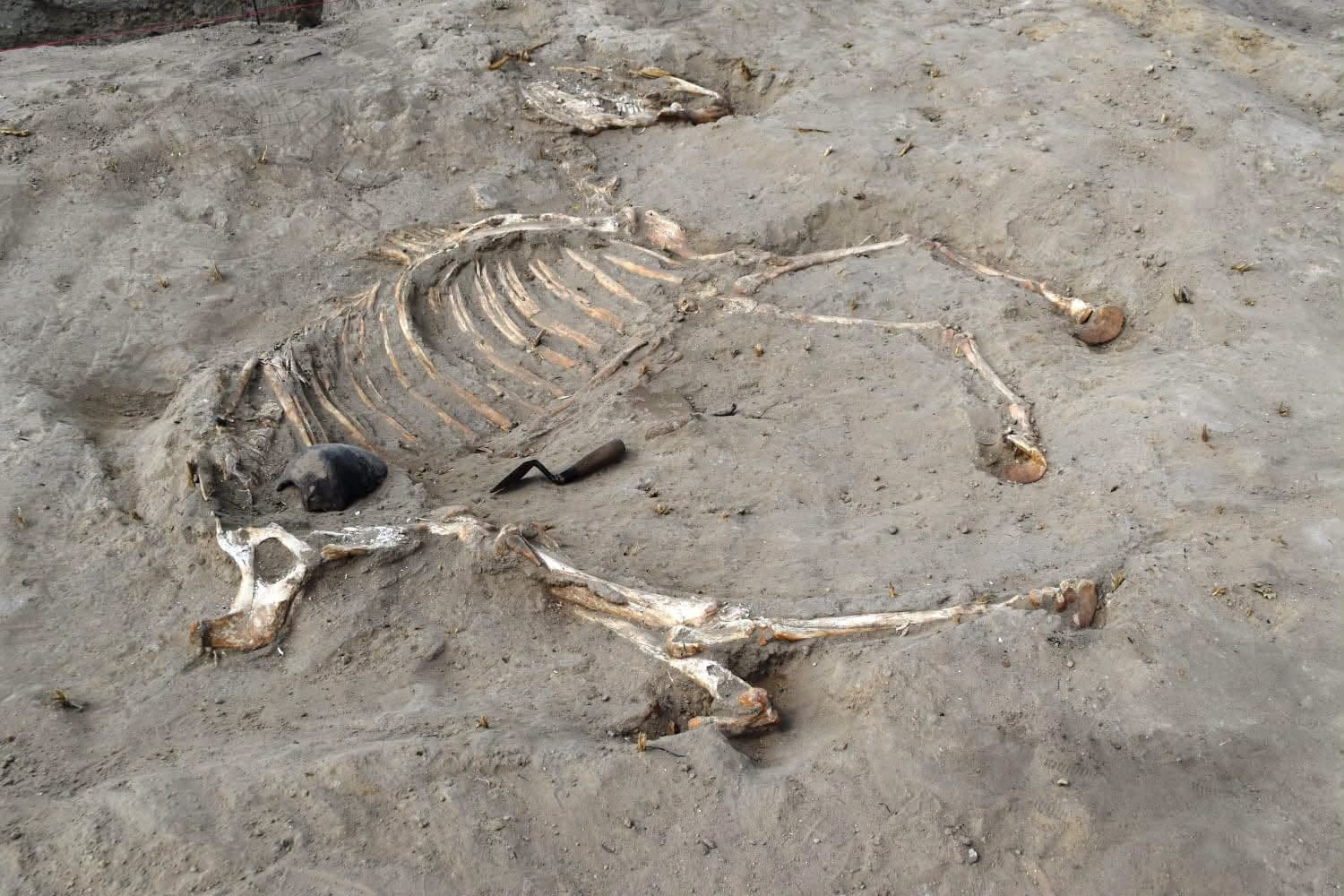 Tres pozos de piedra y fragmentos epigráficos hallados en la fortaleza contienen inscripciones vinculadas a Ramsés II - - (Ministerio de Turismo y Antigüedades de Egipto)