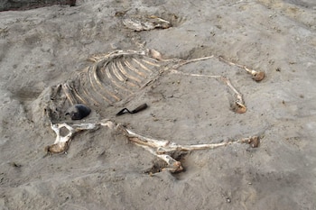 Tres pozos de piedra y fragmentos epigráficos hallados en la fortaleza contienen inscripciones vinculadas a Ramsés II - - (Ministerio de Turismo y Antigüedades de Egipto)