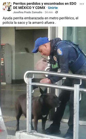 Denuncian a policía que amarró