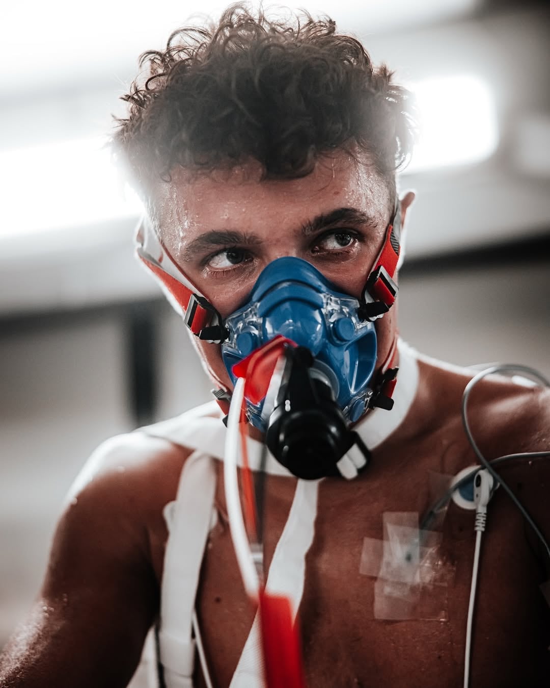 Los pilotos de la Fórmula 1 son sometidos a constantes chequeos para seguir un entrenamiento específico (@lando)