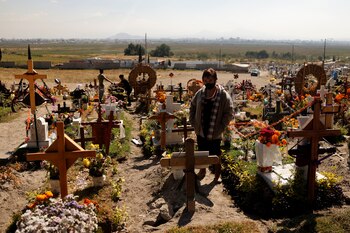 El proyecto es apoyado por