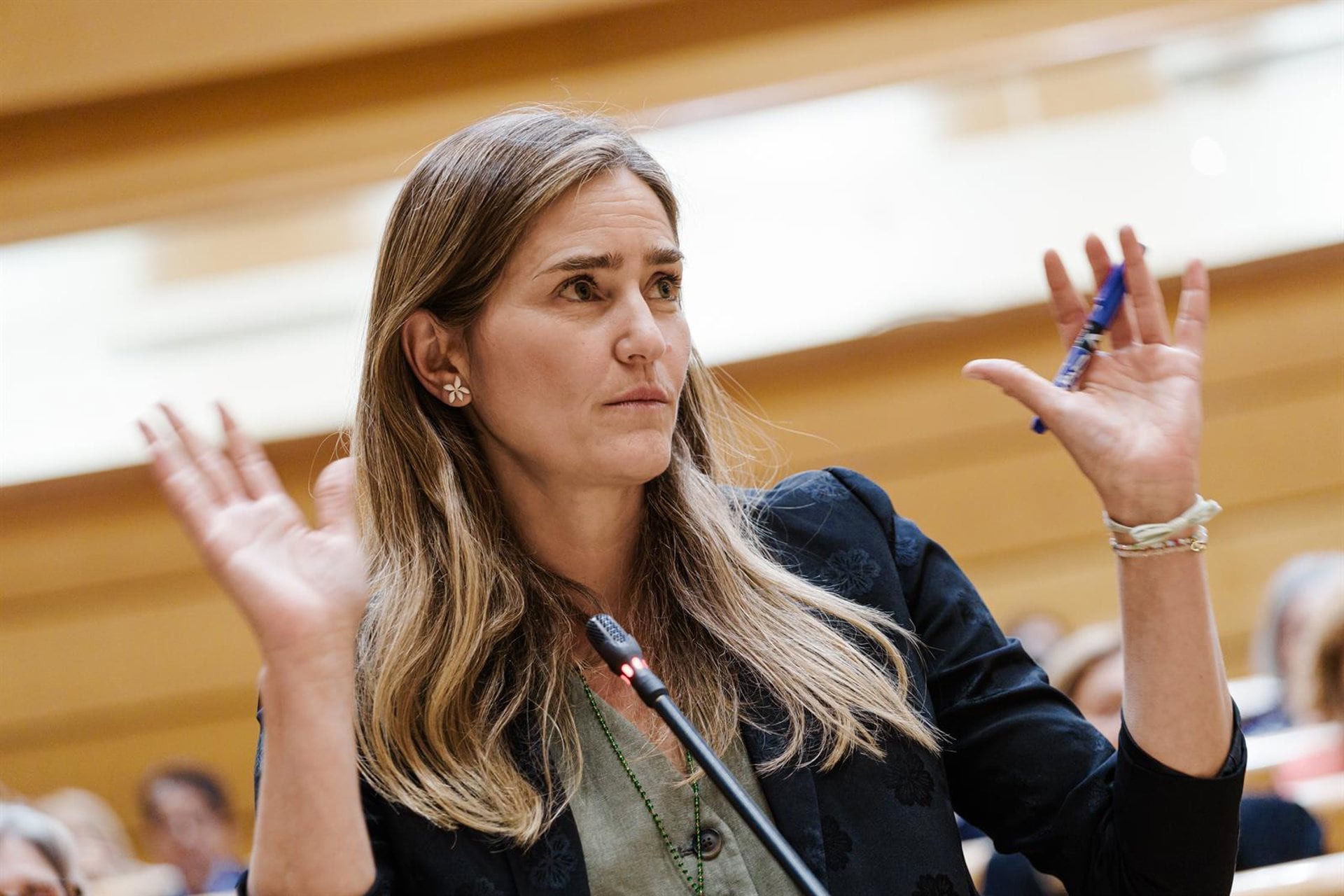 El juez cita como testigos a la vicepresidenta Aagesen y Errejón en noviembre en el caso del préstamo de Air Europa