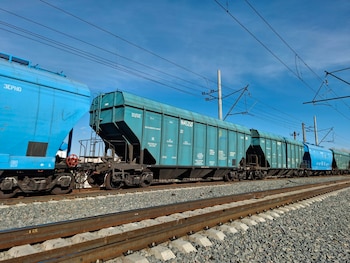 Otro aspecto central del decreto es la instrucción al Ministerio de Economía para determinar el precio de venta del material rodante (Foto: Shutterstock)