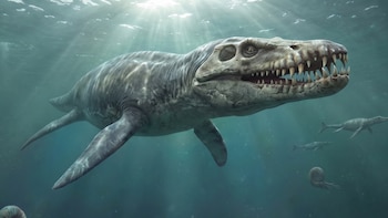 El Liopleurodon medía ocho metros, no 25: un estudio reescribe la historia del depredador jurásico