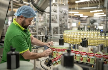 Línea de envasado de Carbonell en Alcolea, en Córdoba. (Deoleo)