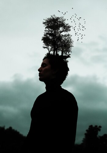 Esta también habla de los