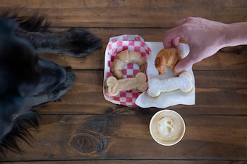 Un combo para el "perri"