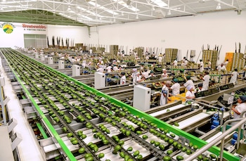 El inicio de 2026 evidenció