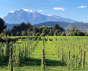 Este viernes 30 de octubre