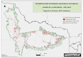 Mapa de los niveles de deforestación en la Sierra de la Macarena - crédito Greenpeace Colombia