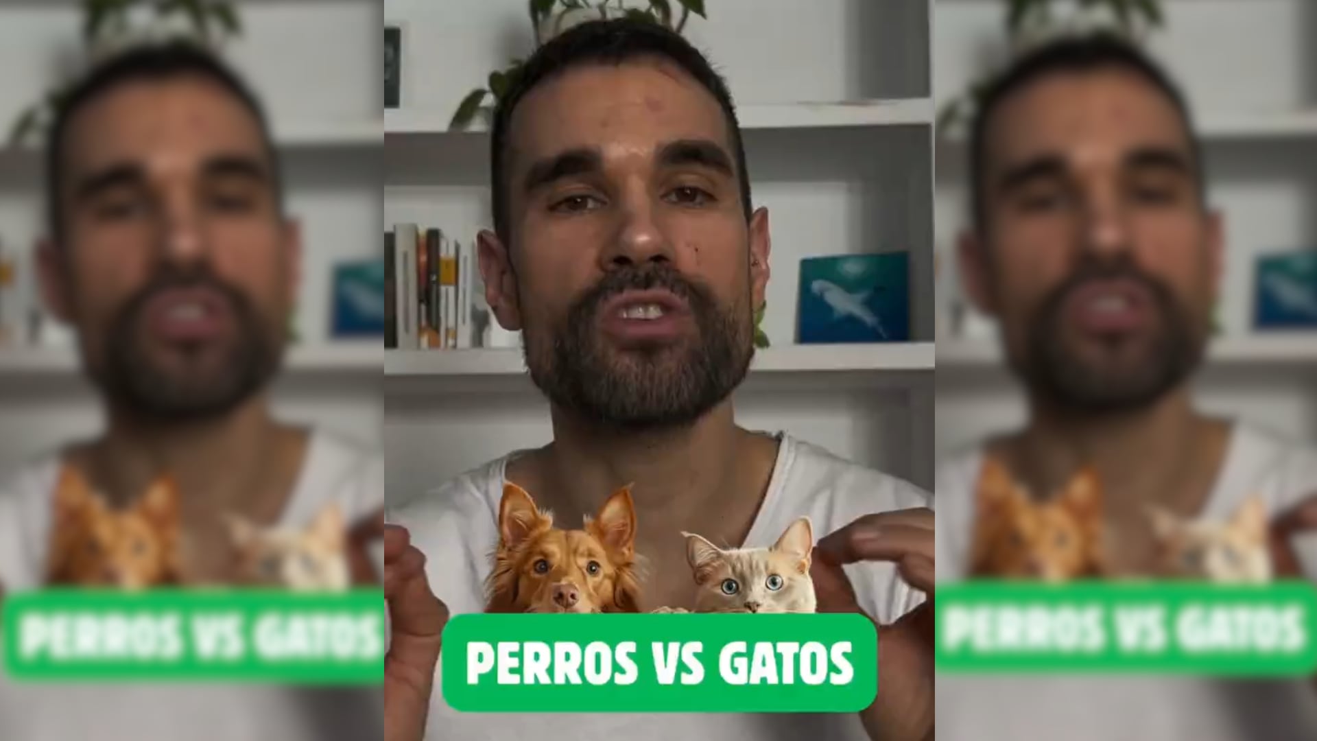 Fragmento de TikTok en el que Marcos profundiza en la relación entre perros y gatos. (@marcosconecta)
