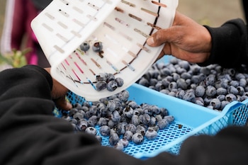 Entre enero y noviembre de
