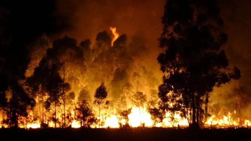 El gobierno en Corrientes advirtió por el riesgo crítico de incendios