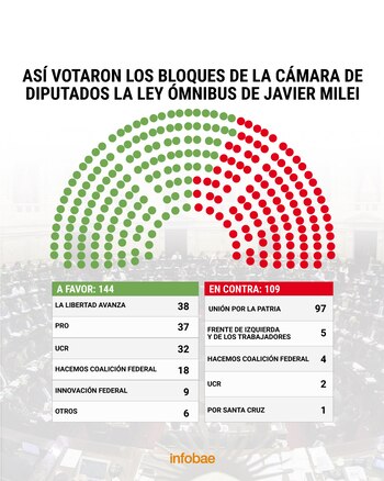 Ley Ómnibus_votos