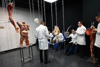 Los interesados deberán cumplir con