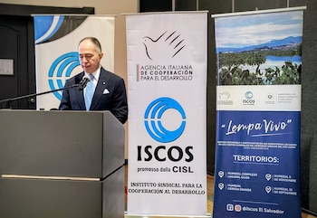 Diversas entidades nacionales e internacionales