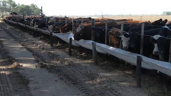 Los números recomiendan llegar con