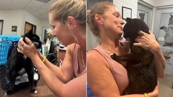 El tierno momento en que