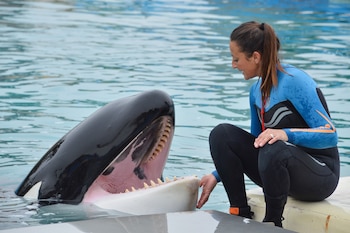 Kshamenk junto a una de