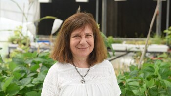 Por qué es clave la