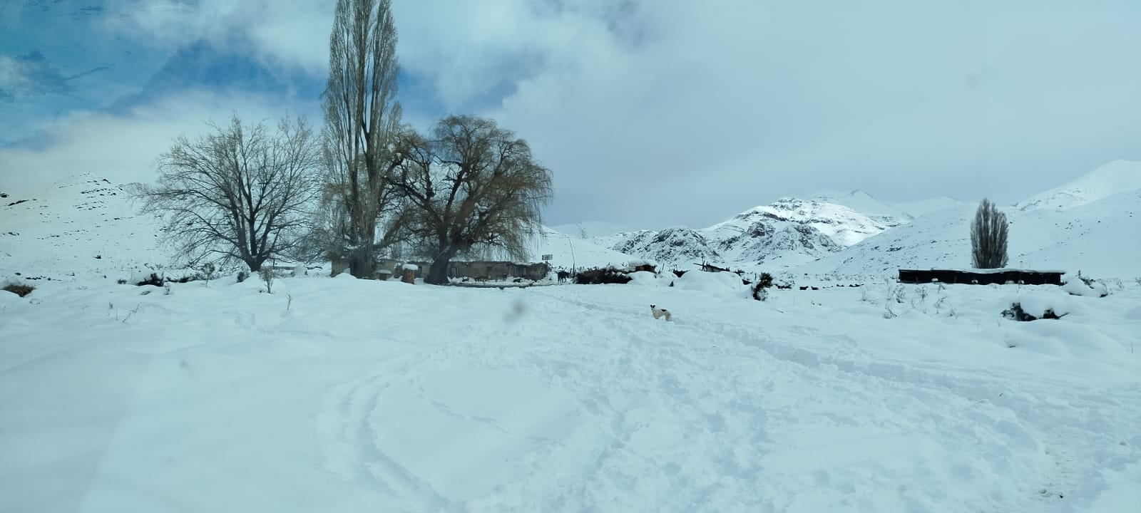 Una avalancha en Calingasta derivó en un operativo de rescate a una familia: todos resultaron ilesos (Gendarmería Nacional)
