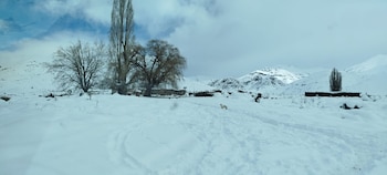 Campo cubierto de nieve, montañas nevadas, cielo nublado, varios árboles sin hojas, un perro blanco y negro pequeño, estructuras bajas cubiertas de nieve