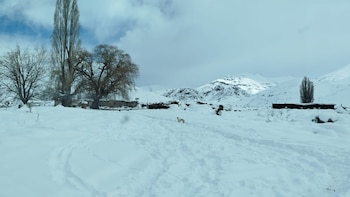 Las consecuencias de las intensas nevadas en el país: rescates, accidentes viales, suspensión de clases y pasos fronterizos cerrados