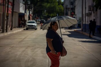 Además de embellecer la ciudad,