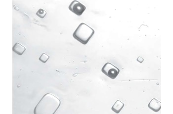 Imagen microscópica de inclusiones fluidas