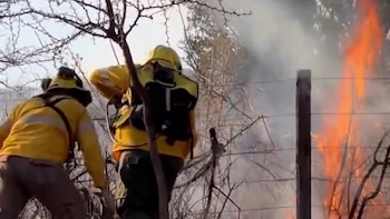 Dos bomberos vestidos de amarillo y con cascos combaten un incendio forestal. Se observan llamas, humo, ramas secas y un poste de madera
