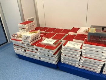 Este miércoles arribó a México