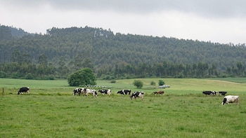 La aprobación del acuerdo UE-Mercosur