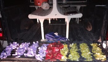 (Foto: Guardia Nacional)