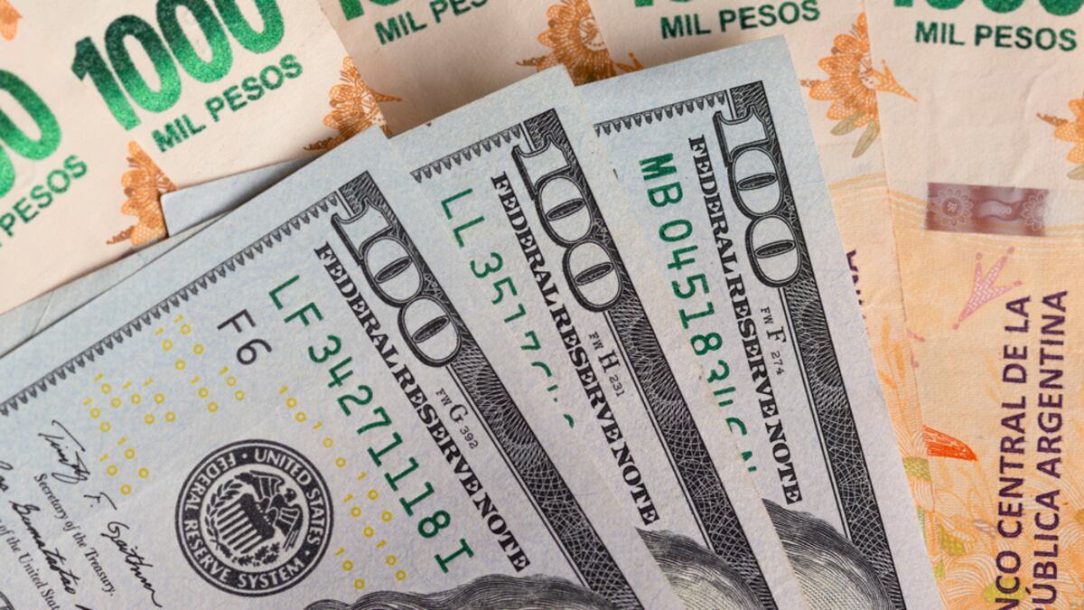 El BCRA decidió volver a acortar los plazos de acceso al mercado de cambios para el pago de importaciones (Foto: Shutterstock)