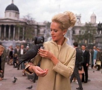 Tippi es defensora de los