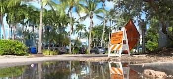 Un cartel con el texto «CAUTION FLOODED STREET», un charco de agua en la calle, palmeras, automóviles y casas de fondo