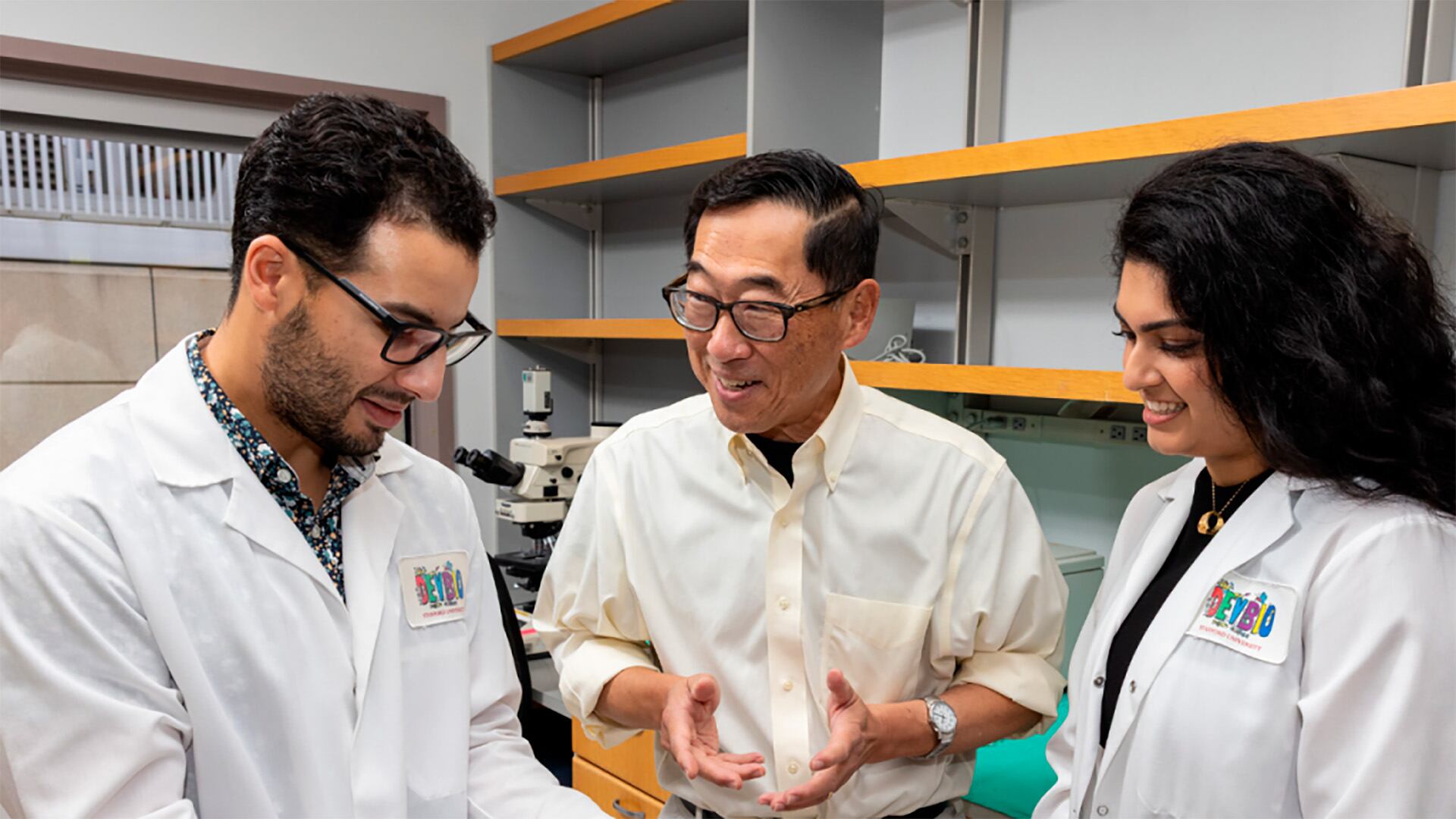 Los investigadores lograron restablecer la función normal del sistema inmunitario (Crédito: Stanford Medicine)