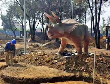 Triceratops, uno de los dinosaurios que se podrán ver en Iztapasauria: Foto/ Twitter: @ClaraBrugadaM