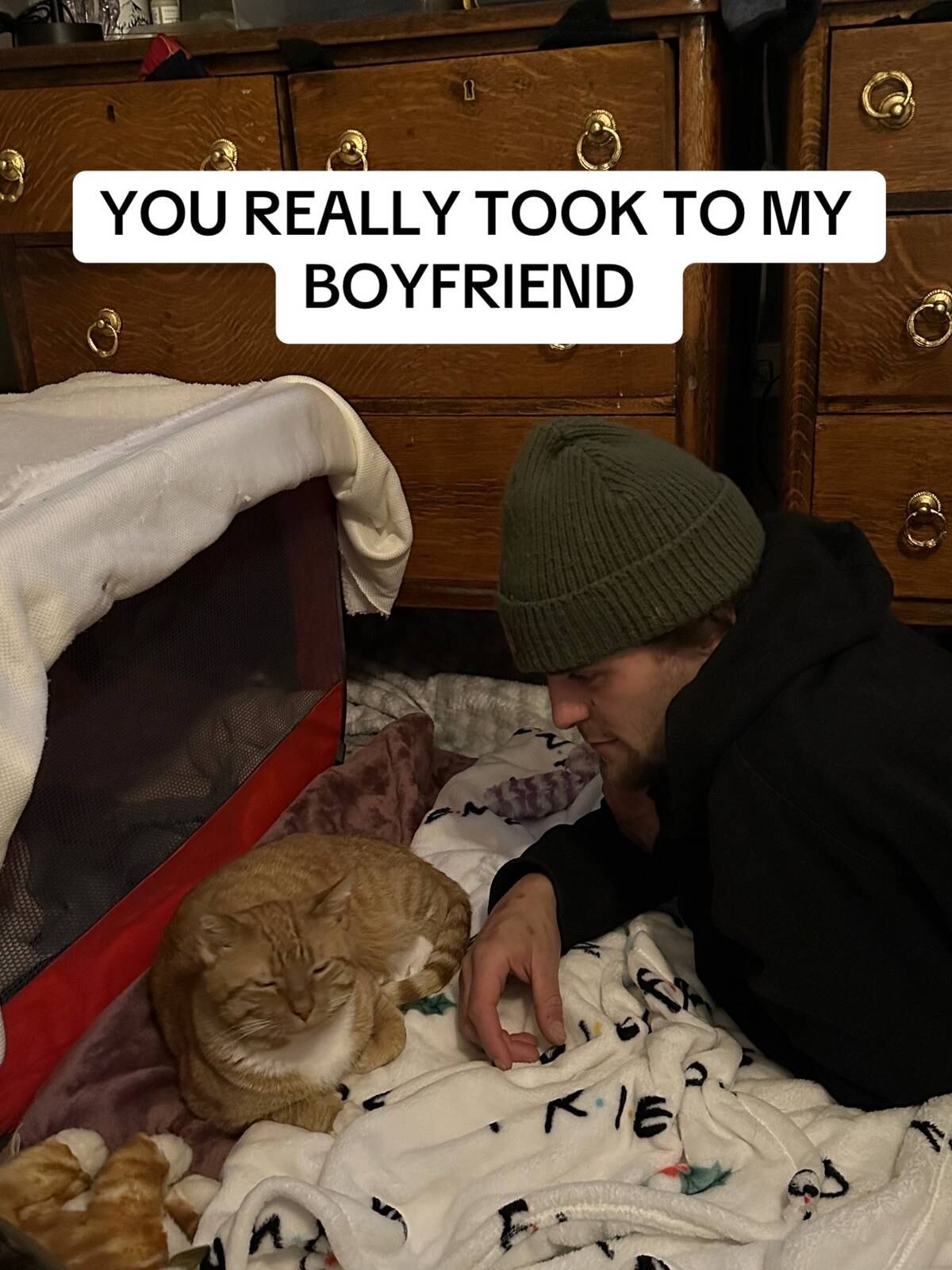 Tras ser adoptado, Kurt volvió a acicalarse y demostró que los gatos también pueden sanar del duelo. —(TikTok, @courtniescats)