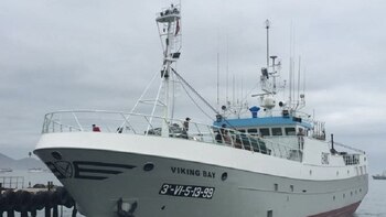 Buscan en Nueva Zelanda a