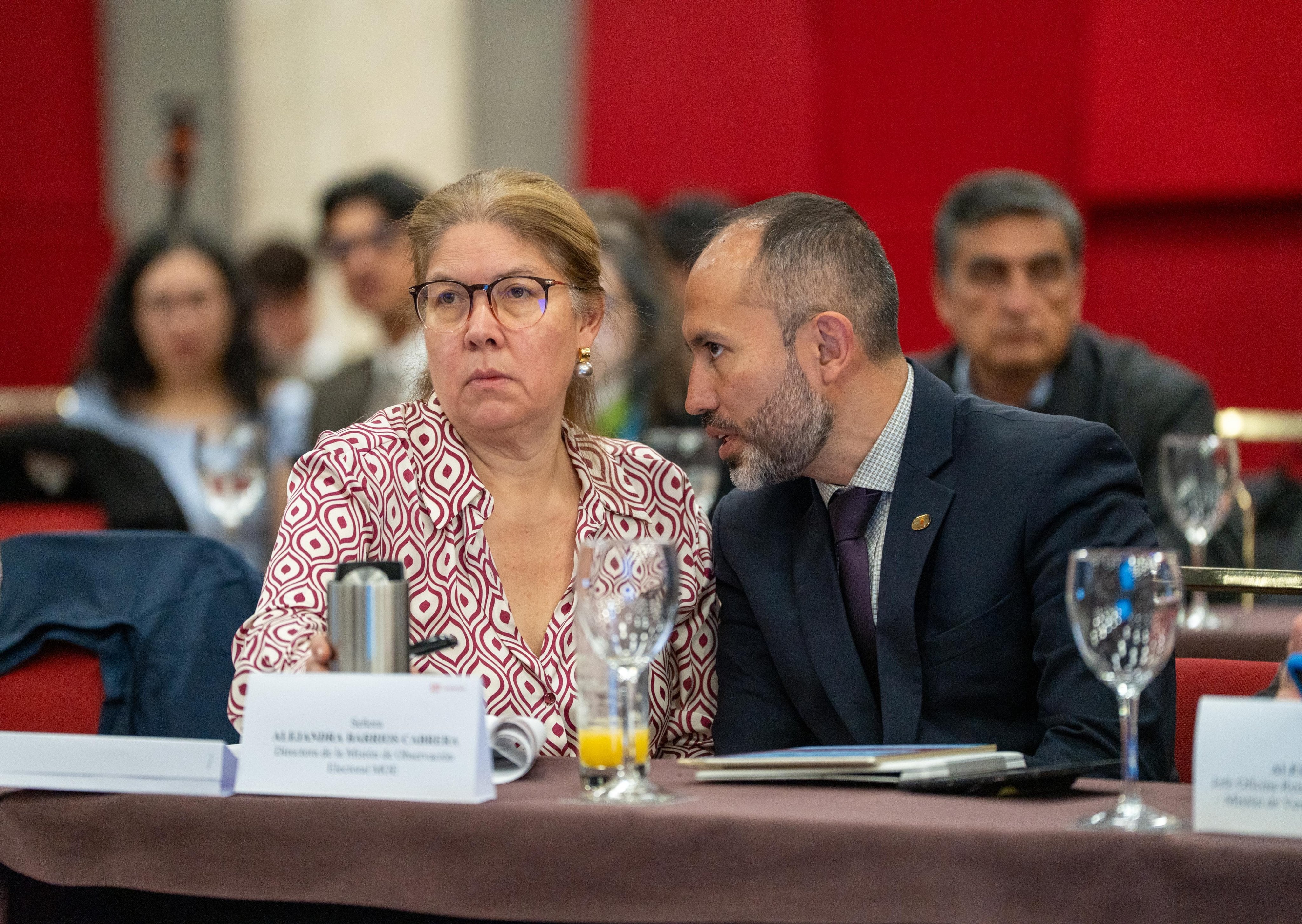 Alejandra Barrios, directora de la MOE Colombia, participó en la 8ª Comisión Nacional de Coordinación y Seguimiento Electoral, un espacio clave para adoptar medidas que garanticen elecciones transparentes, equitativas y seguras - crédito @moecolombia/X