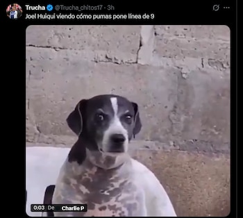 (Redes sociales)
