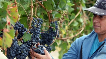 Investigadores de Argentina, España y