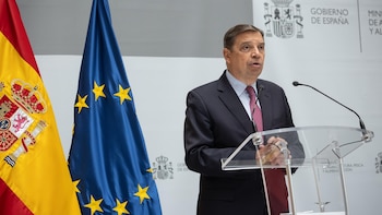 Planas ve Mercosur como una