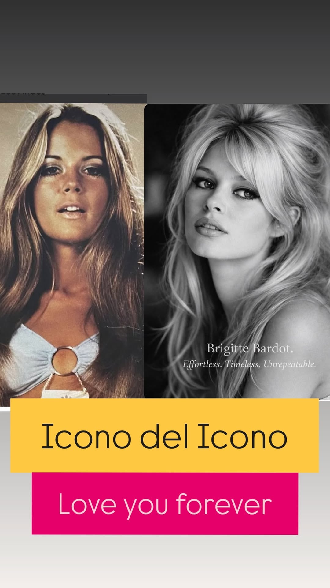 El icónico posteo de Graciela Alfano combinó imágenes y palabras para mostrar la continuidad estética entre ella y Bardot