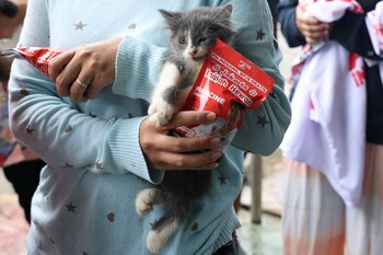 El acero estañado, el material