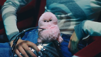 Desarrollado por Yukai Engineering, Mirumi